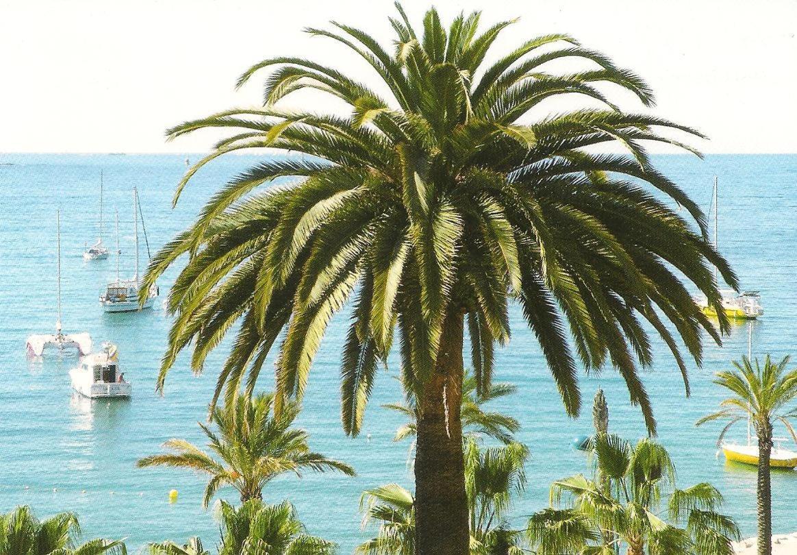 Studio Climatise. Proche Parking, Commerces Et Mer Appartement Carqueiranne Buitenkant foto